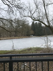 2017 01 22 Gru  nkohlwanderung zur Martinskirche Beedenbostel und dann zum Heidehof Bilder von Ralf 016